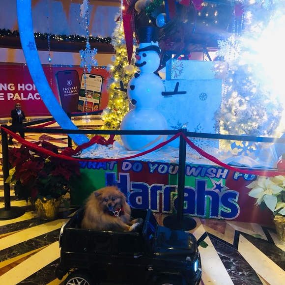 Happy New Year 🎆 2024 - Picture 5 of 14